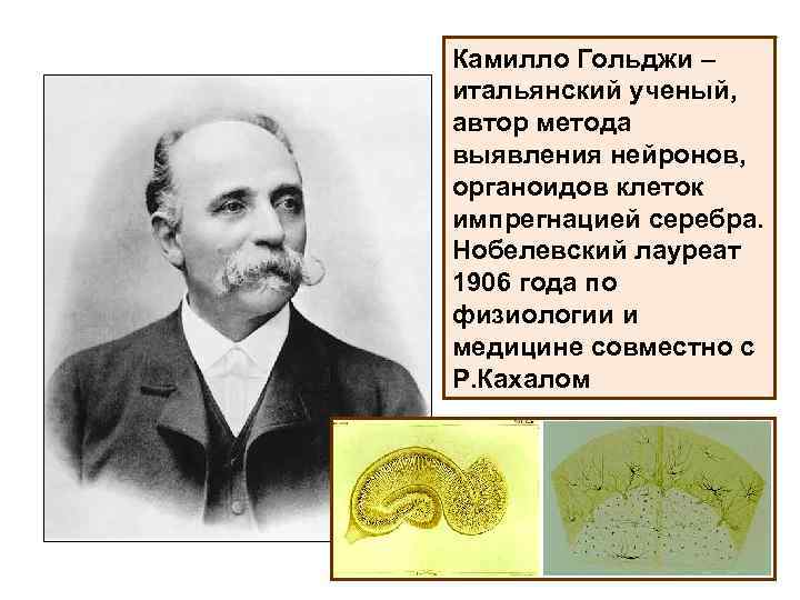 Камилло Гольджи – итальянский ученый, автор метода выявления нейронов, органоидов клеток импрегнацией серебра. Нобелевский