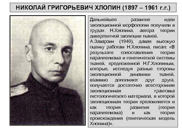 НИКОЛАЙ ГРИГОРЬЕВИЧ ХЛОПИН (1897 – 1961 г. г. ) Дальнейшее развитие идеи эволюционной морфологии