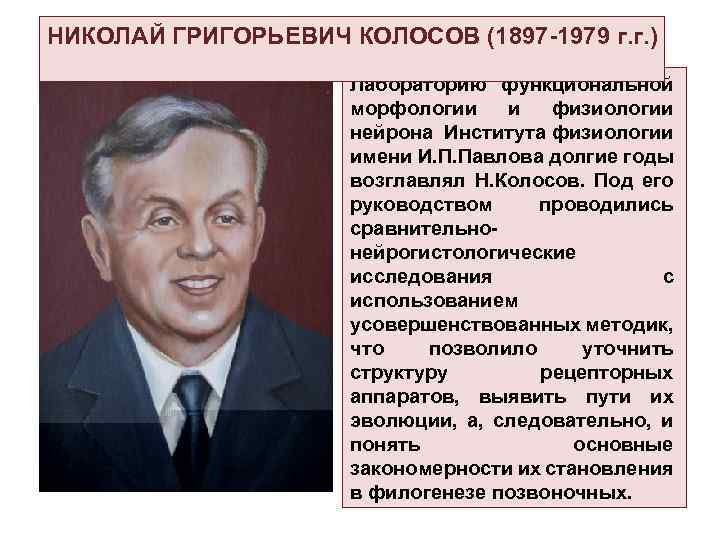 НИКОЛАЙ ГРИГОРЬЕВИЧ КОЛОСОВ (1897 -1979 г. г. ) Лабораторию функциональной морфологии и физиологии нейрона