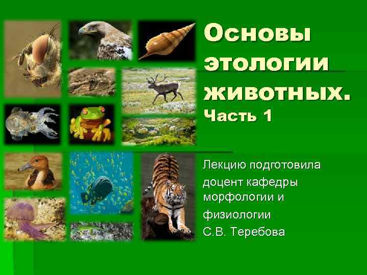 Основы этологии животных. Часть 1 Лекцию подготовила доцент кафедры морфологии и физиологии С. В.