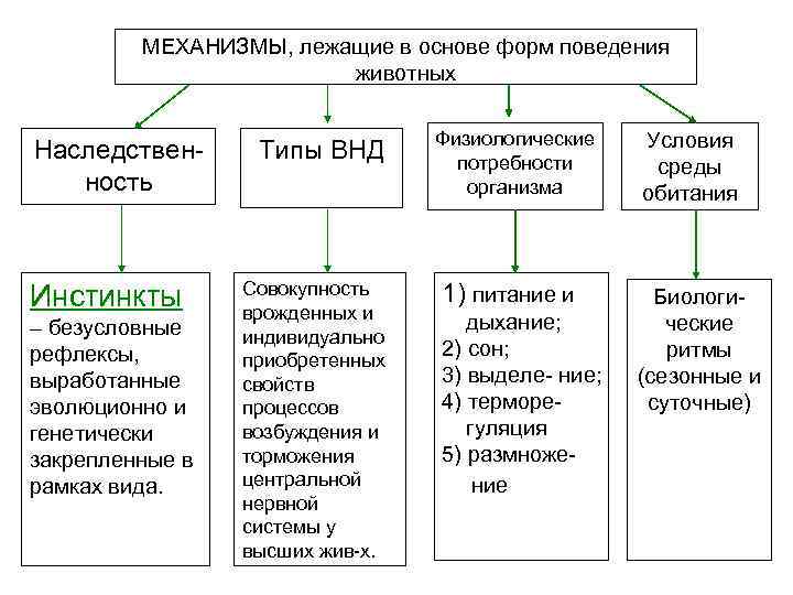 Основные формы поведения животных