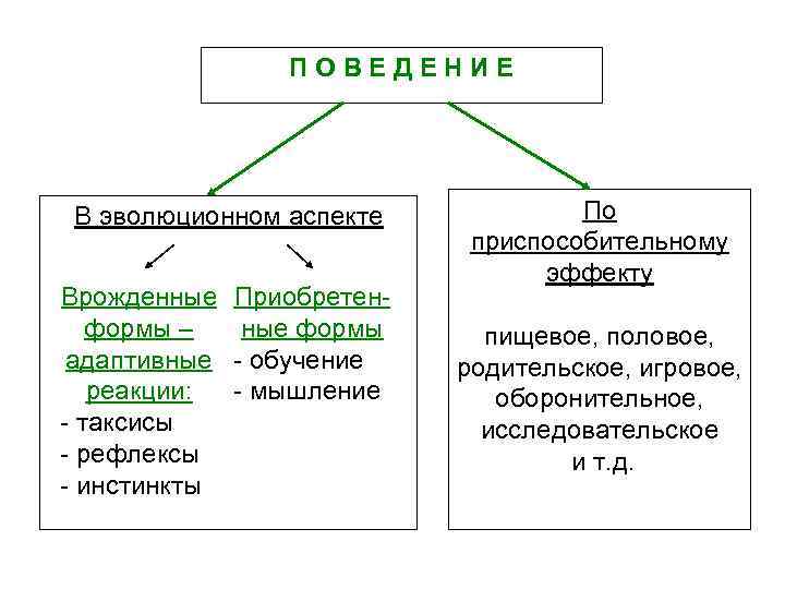 Врожденные формы поведения схема