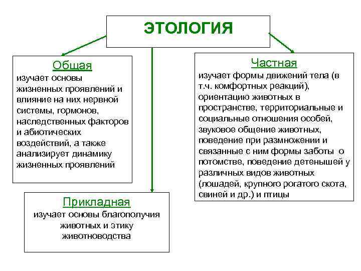 ЭТОЛОГИЯ Общая изучает основы жизненных проявлений и влияние на них нервной системы, гормонов, наследственных