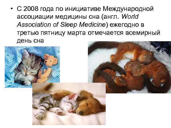  • С 2008 года по инициативе Международной ассоциации медицины сна (англ. World Association