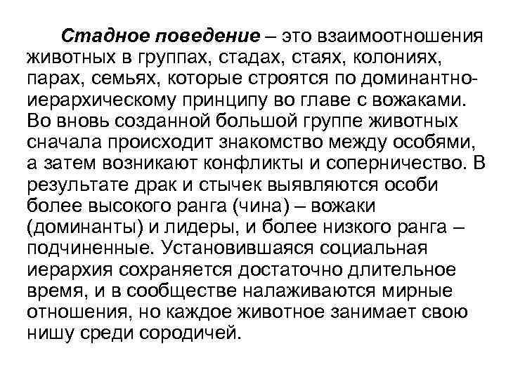 Стадное поведение. Стадное поведение людей. Стадное поведение животных. Стадное чувство у людей.