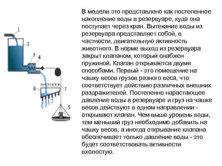 В модели это представлено как постепенное накопление воды в резервуаре, куда она поступает через