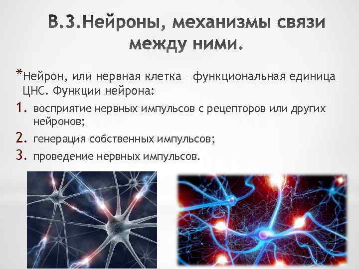 *Нейрон, или нервная клетка – функциональная единица ЦНС. Функции нейрона: 1. восприятие нервных импульсов