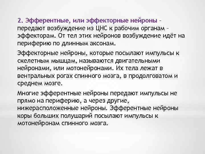 2. Эфферентные, или эффекторные нейроны – передают возбуждение из ЦНС к рабочим органам –