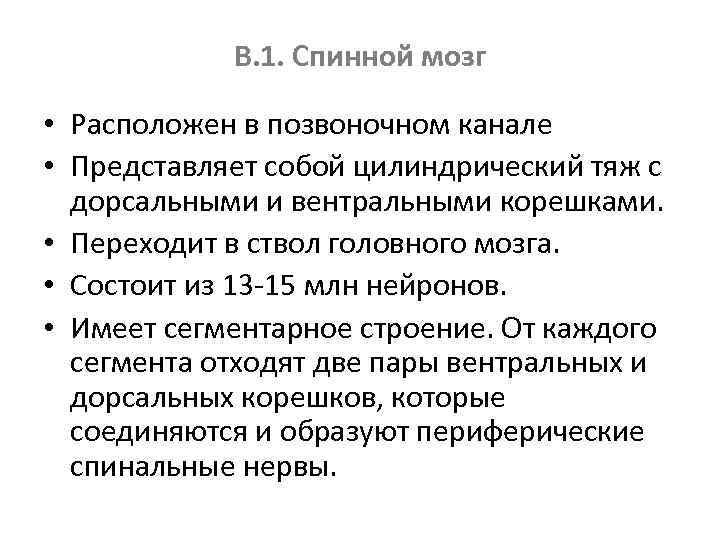 В. 1. Спинной мозг • Расположен в позвоночном канале • Представляет собой цилиндрический тяж