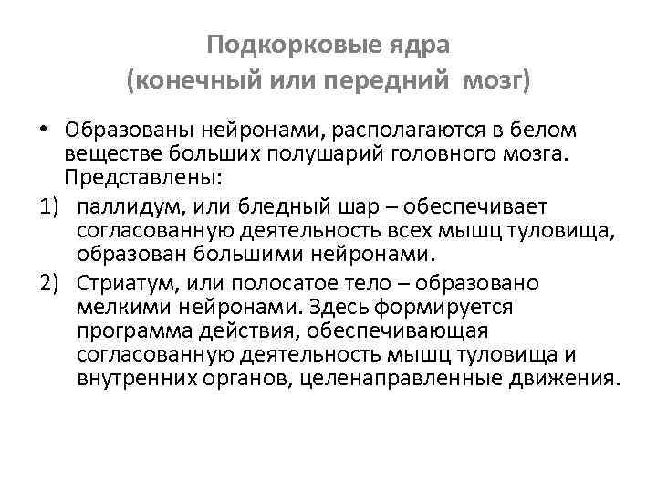 Подкорковые ядра (конечный или передний мозг) • Образованы нейронами, располагаются в белом веществе больших