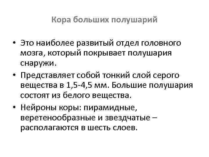 Кора больших полушарий • Это наиболее развитый отдел головного мозга, который покрывает полушария снаружи.