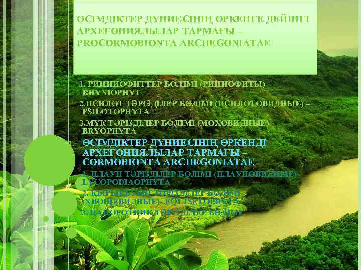 ӨСІМДІКТЕР ДҮНИЕСІНІҢ ӨРКЕНГЕ ДЕЙІНГІ АРХЕГОНИЯЛЫЛАР ТАРМАҒЫ – PROCORMOBIONTA ARCHEGONIATAE 1. РИННИОФИТТЕР БӨЛІМІ (РИНИОФИТЫ) –