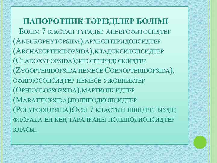 ПАПОРОТНИК ТӘРІЗДІЛЕР БӨЛІМІ БӨЛІМ 7 КЛ AСТАН ТҰРАДЫ: АНЕВРОФИТОСИДТЕР (ANEUROPHYTOPSIDA), АРХЕОПТЕРИДОПСИДТЕР (ARCHAEOPTERIDOPSIDA), КЛАДОКСИЛОПСИДТЕР (CLADOXYLOPSIDA),