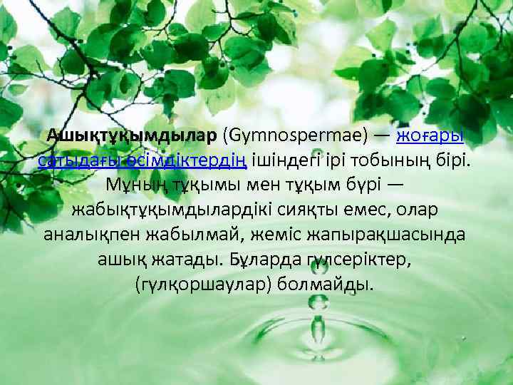 Ашықтұқымдылар (Gymnospermae) — жоғары сатыдағы өсімдіктердің ішіндегі ірі тобының бірі. Мұның тұқымы мен тұқым