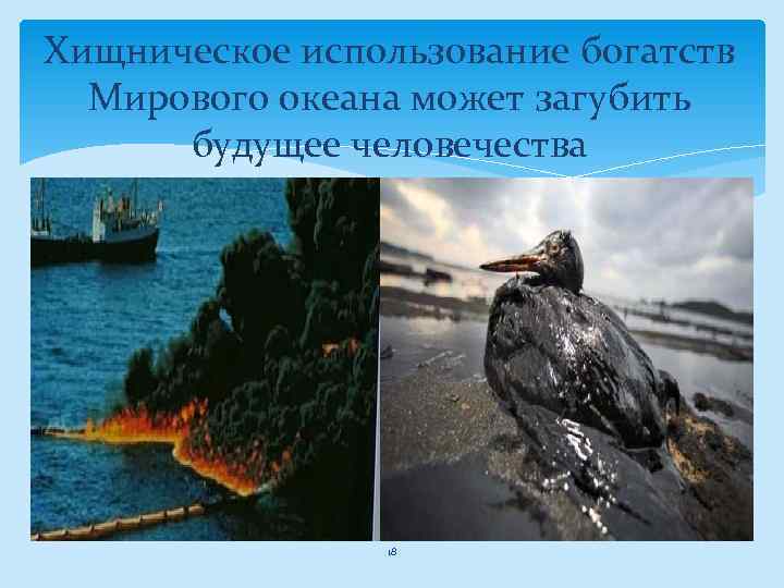 Хищническое использование богатств Мирового океана может загубить будущее человечества 18 