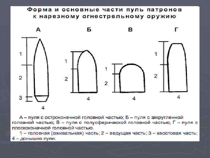 Судебная баллистика картинки