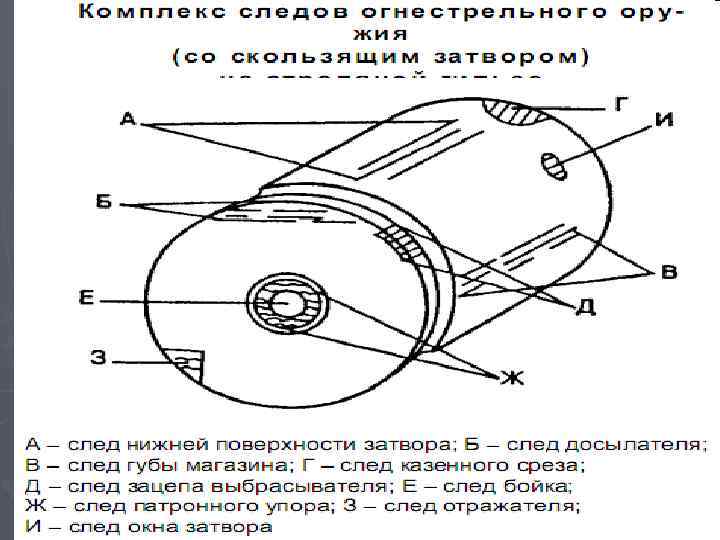 Презентация судебная баллистика