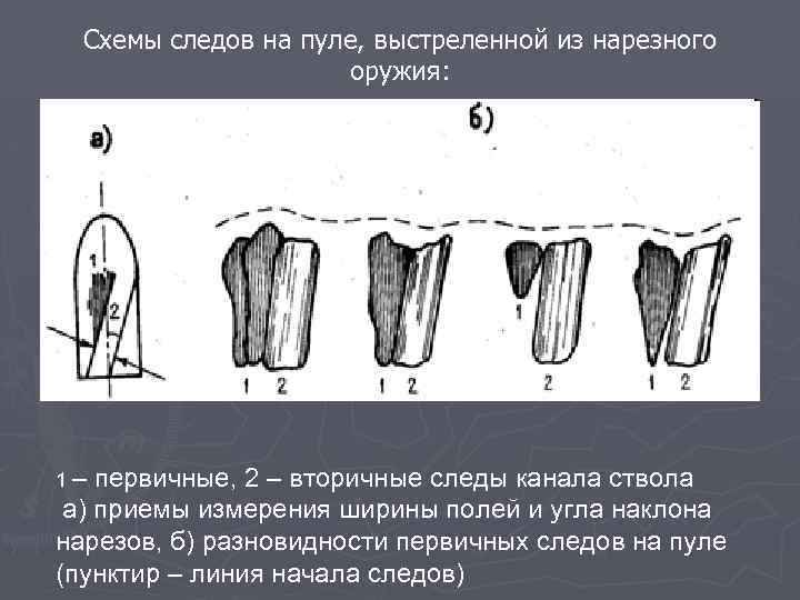 Схемы следов на пуле, выстреленной из нарезного оружия: 1– первичные, 2 – вторичные следы