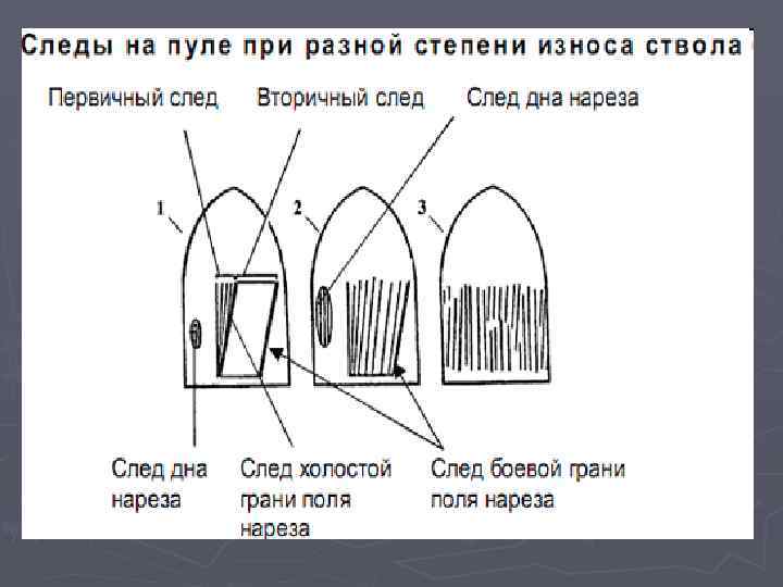 Система судебной баллистики