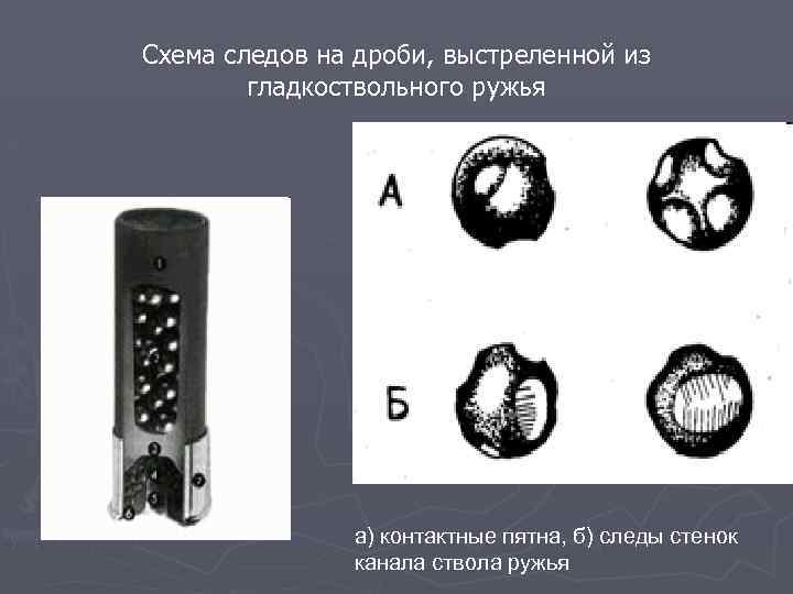 Схема следов на дроби, выстреленной из гладкоствольного ружья а) контактные пятна, б) следы стенок