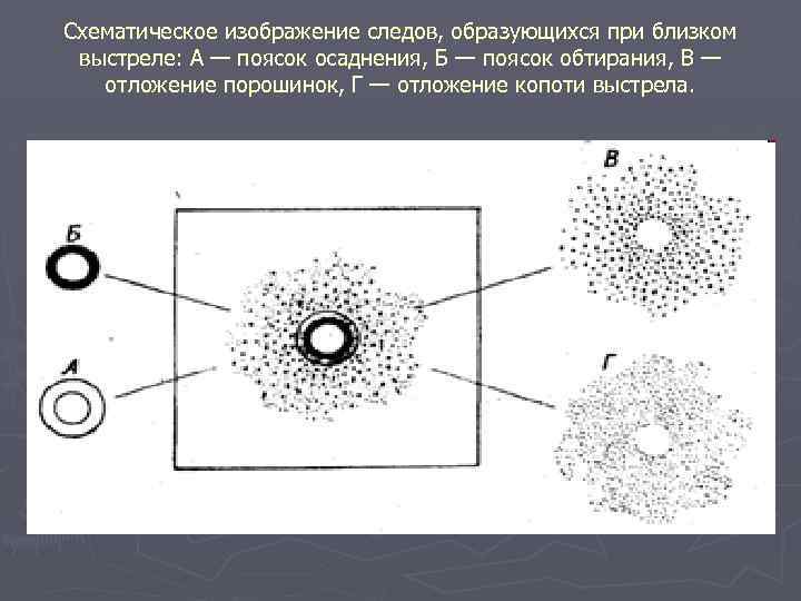 Схематическое изображение следов, образующихся при близком выстреле: А — поясок осаднения, Б — поясок