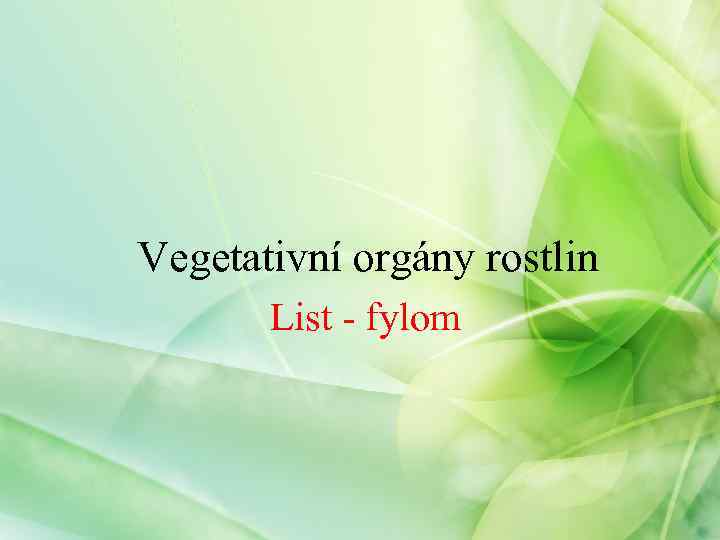 Vegetativní orgány rostlin List - fylom 