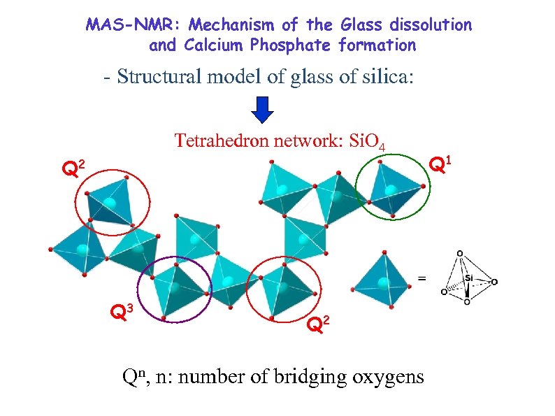 MAS-NMR: Mechanism of the Glass dissolution and Calcium Phosphate formation - Structural model of