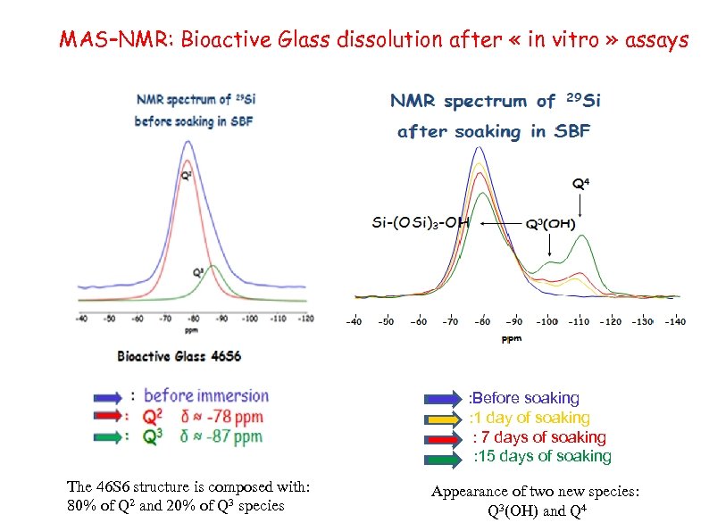 MAS–NMR: Bioactive Glass dissolution after « in vitro » assays : Before soaking :