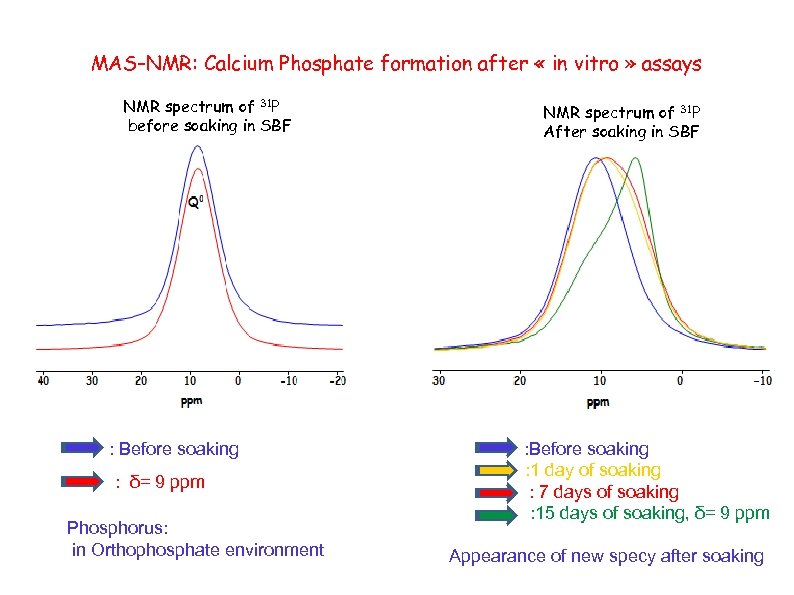 MAS–NMR: Calcium Phosphate formation after « in vitro » assays NMR spectrum of 31