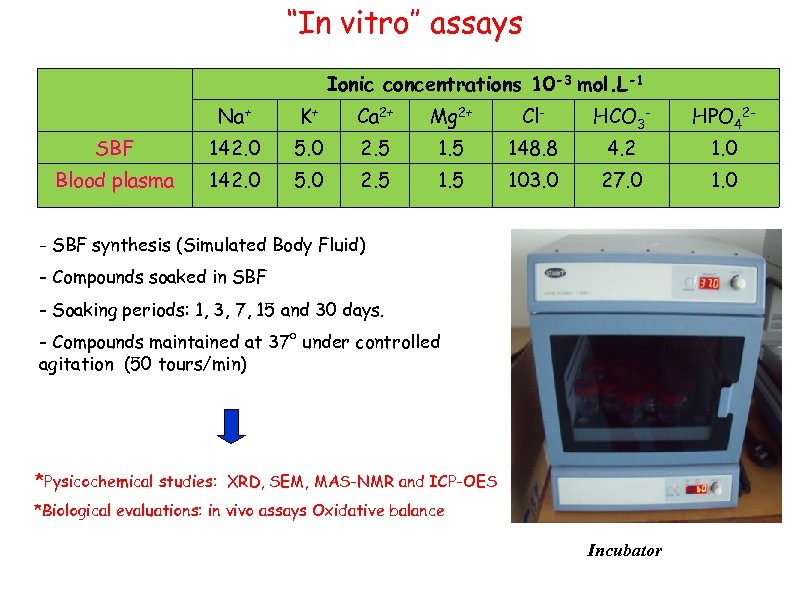 ‘‘In vitro’’ assays Ionic concentrations 10 -3 mol. L-1 Na+ K+ Ca 2+ Mg