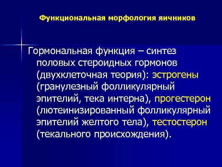 Функциональная морфология яичников Гормональная функция – синтез половых стероидных гормонов (двухклеточная теория): эстрогены (гранулезный