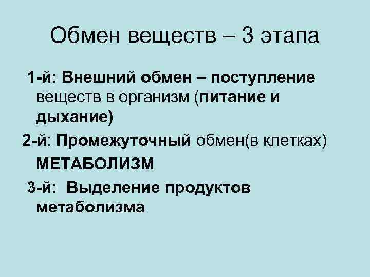 Внешний обмен веществ