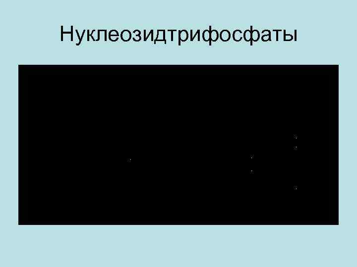 Нуклеозидтрифосфаты 