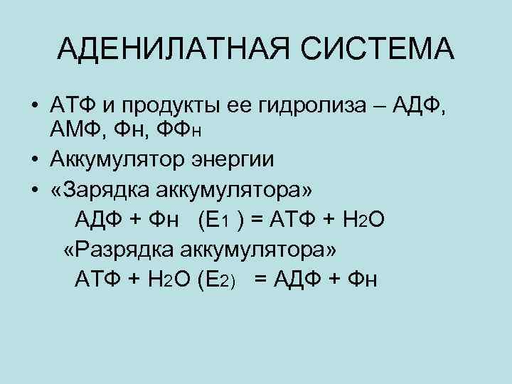 АДЕНИЛАТНАЯ СИСТЕМА • АТФ и продукты ее гидролиза – АДФ, АМФ, Фн, ФФН •