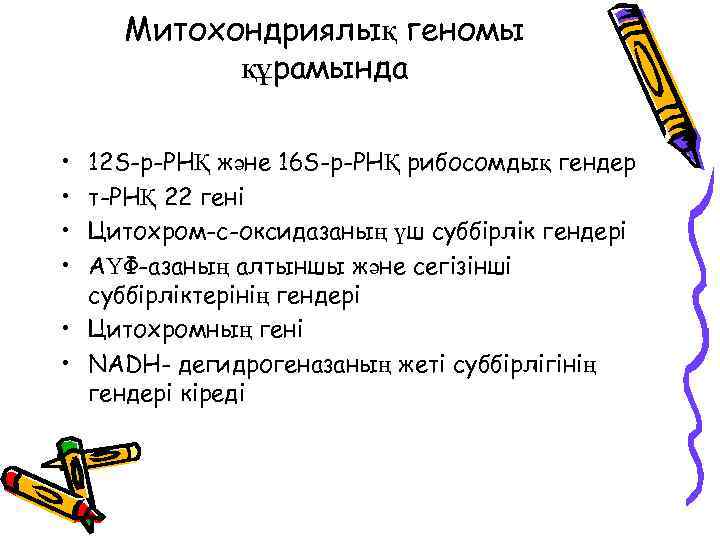 Митохондриялық геномы құрамында • • 12 S-р-РНҚ және 16 S-р-РНҚ рибосомдық гендер т-РНҚ 22