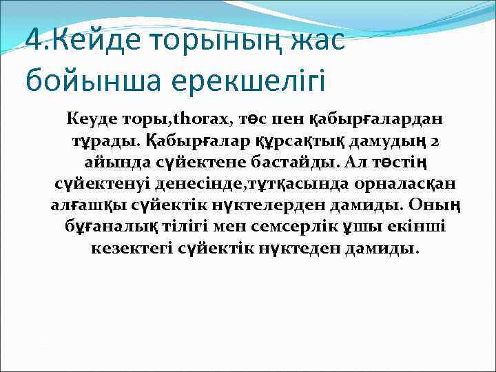 4. Кейде торының жас бойынша ерекшелігі Кеуде торы, thorax, төс пен қабырғалардан тұрады. Қабырғалар