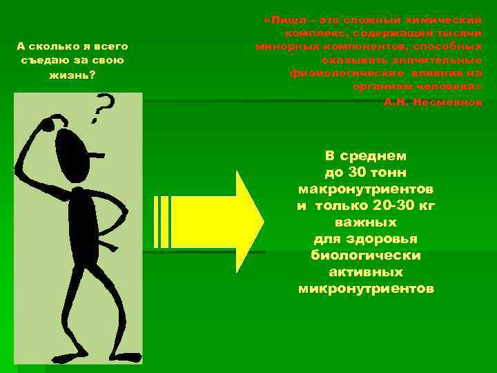 А сколько я всего съедаю за свою жизнь? «Пища – это сложный химический комплекс,