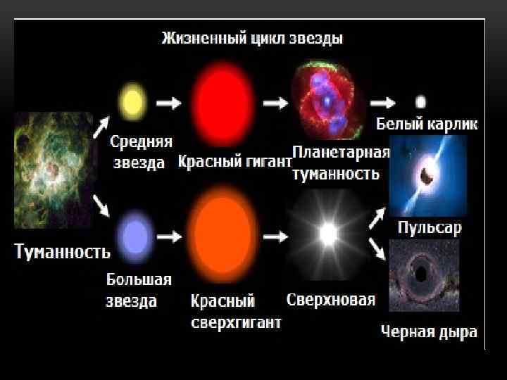 Финал эволюции звезды 7. Красный гигант и белый карлик. Жизненный цикл звезды схема. Жизненный цикл белого карлика. Красный карлик Эволюция звезд.