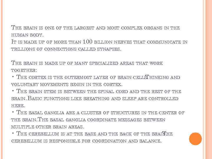 THE BRAIN IS ONE OF THE LARGEST AND MOST COMPLEX ORGANS IN THE HUMAN