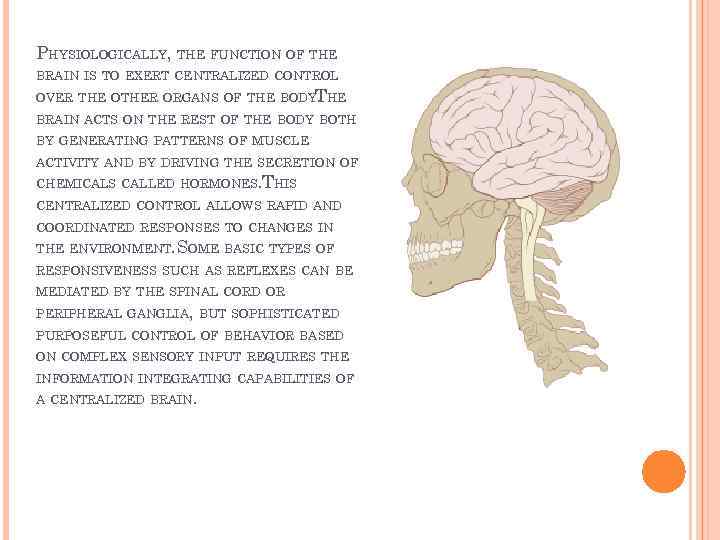 PHYSIOLOGICALLY, THE FUNCTION OF THE BRAIN IS TO EXERT CENTRALIZED CONTROL OVER THE OTHER