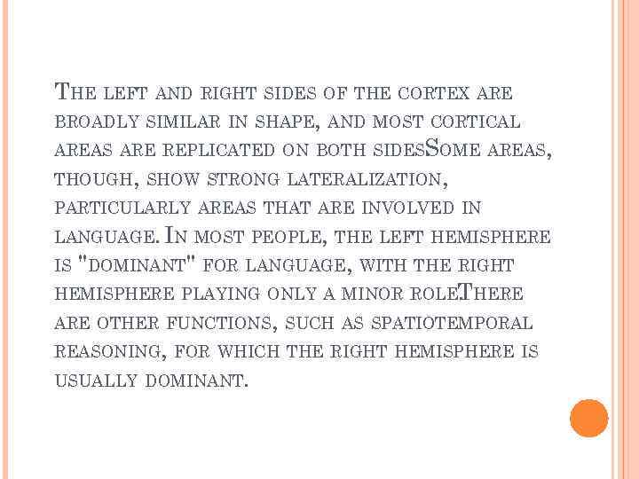 THE LEFT AND RIGHT SIDES OF THE CORTEX ARE BROADLY SIMILAR IN SHAPE, AND
