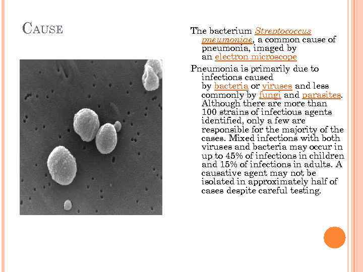 CAUSE The bacterium Streptococcus pneumoniae, a common cause of pneumonia, imaged by an electron