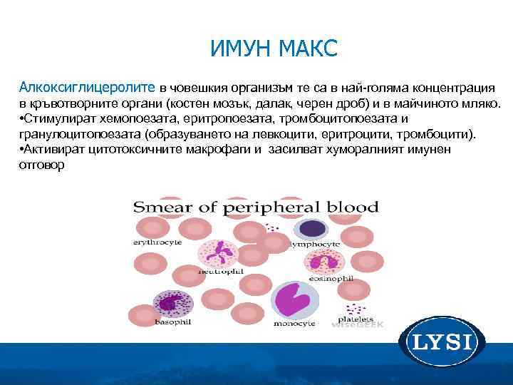 ИМУН МАКС Алкоксиглицеролите в човешкия организъм те са в най-голяма концентрация в кръвотворните органи