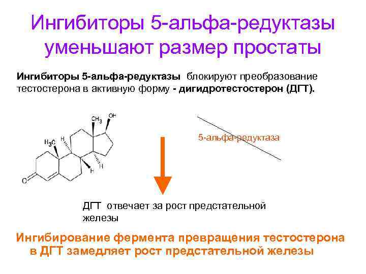 Ингибиторы 5 -альфа-редуктазы уменьшают размер простаты Ингибиторы 5 -альфа-редуктазы блокируют преобразование тестостерона в активную