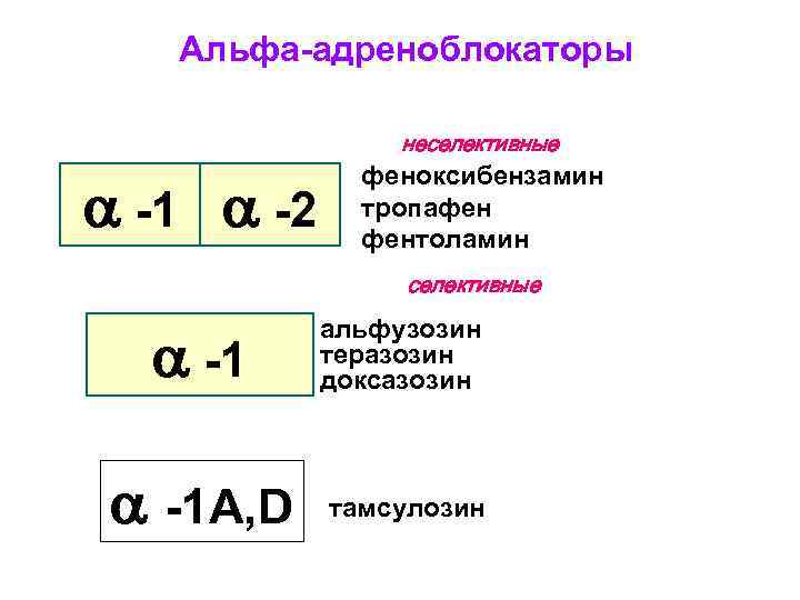 Альфа-адреноблокаторы неселективные -1 -2 феноксибензамин тропафен фентоламин селективные -1 альфузозин теразозин доксазозин -1 А,