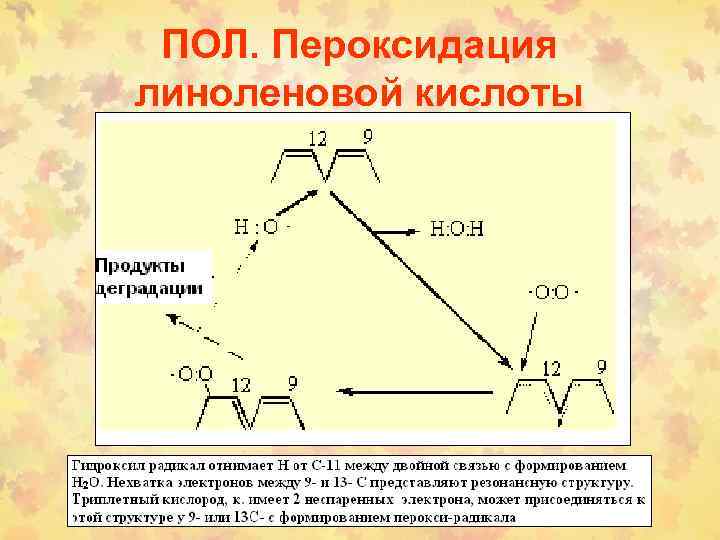 ПОЛ. Пероксидация линоленовой кислоты 