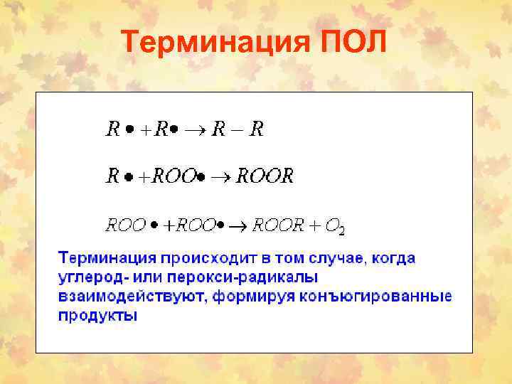 Терминация ПОЛ 