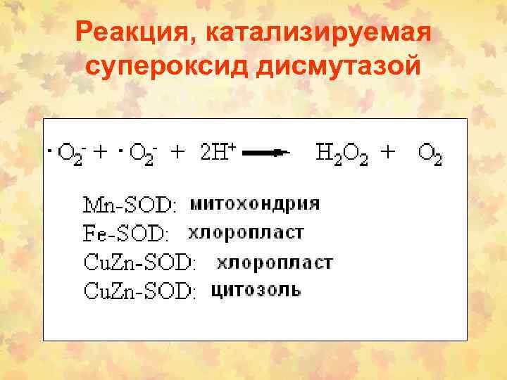 Реакция, катализируемая супероксид дисмутазой 