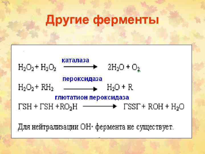 Другие ферменты 