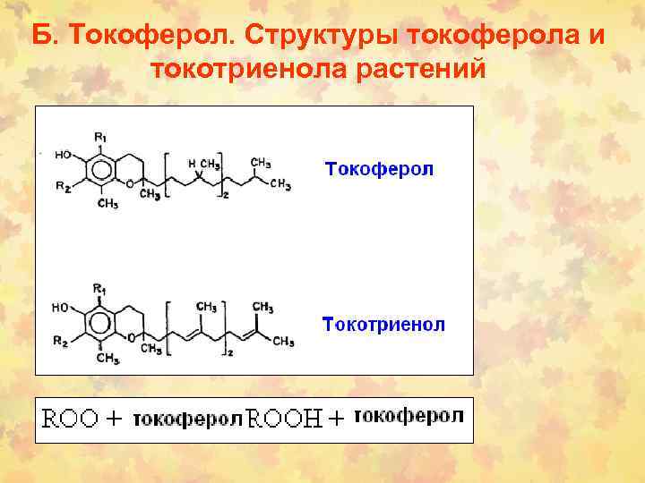 Б. Токоферол. Структуры токоферола и токотриенола растений 